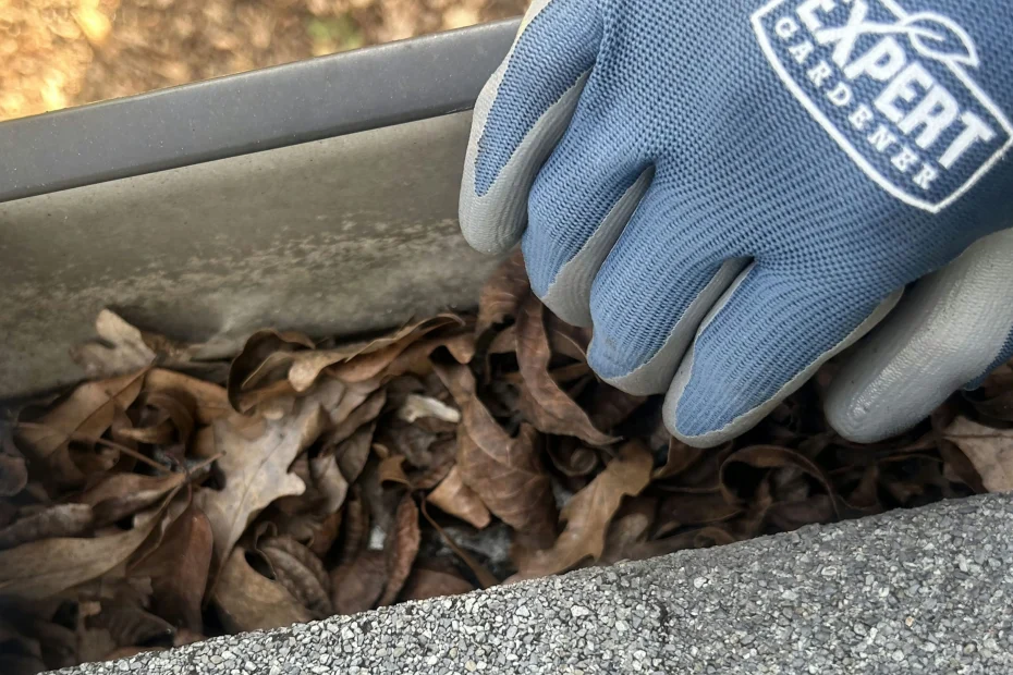 Milford Gutter Cleaning